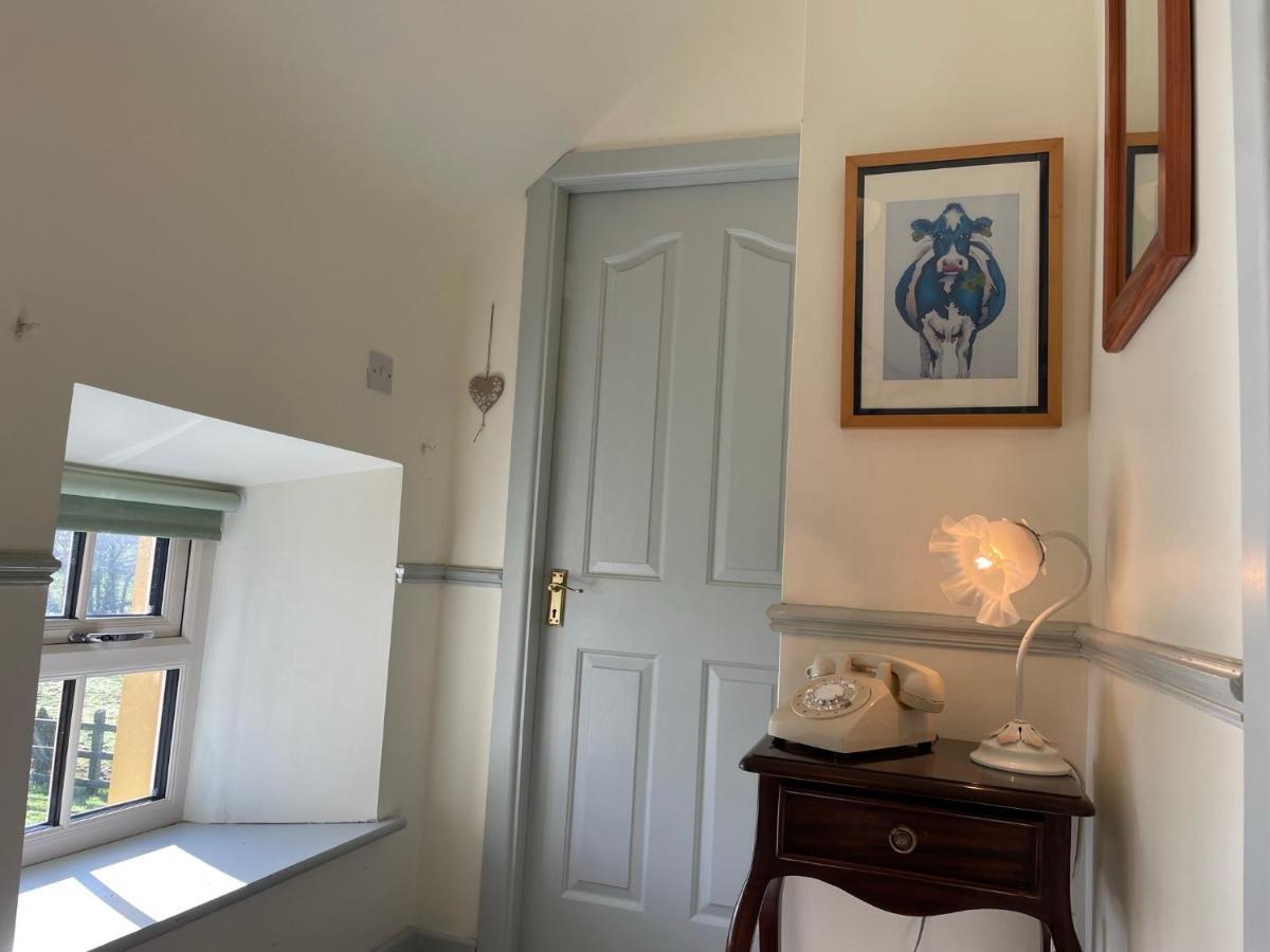 Mai'S Cottage Suite - Charming Holiday Rental Kilmallock Extérieur photo